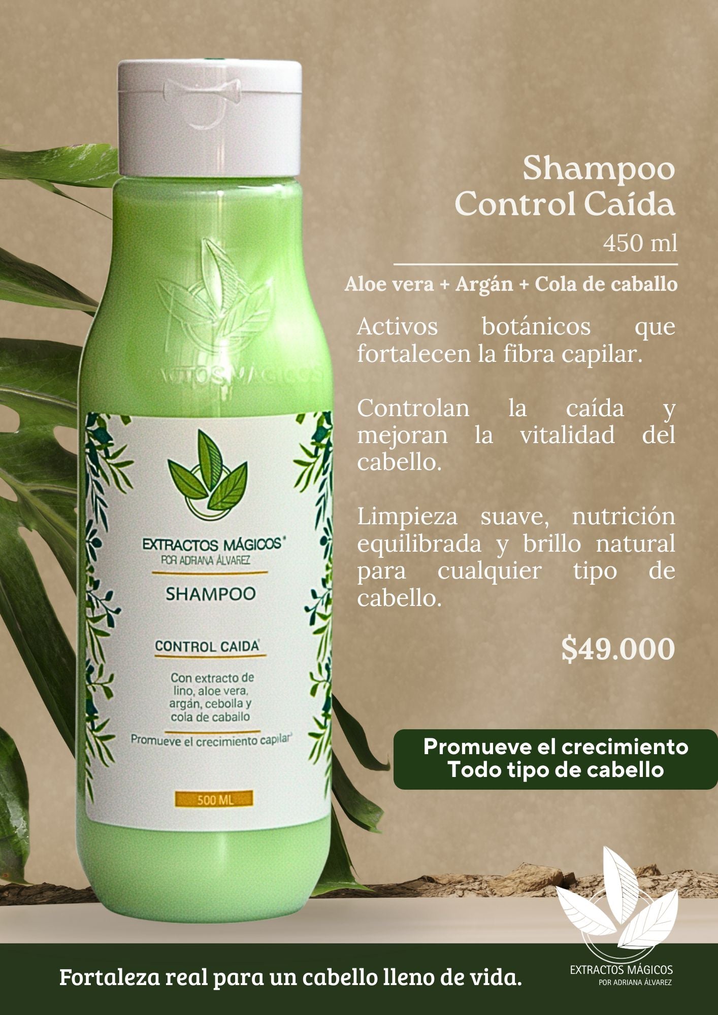 Shampo Control Caída - Todo tipo