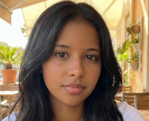 Describes the appearance of the image